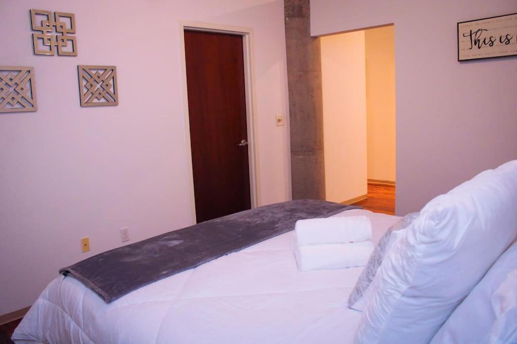 Cozy Stylish Downtown Loft Apartment เซนต์ลูอิส ภายนอก รูปภาพ